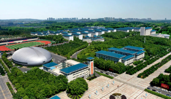 助力高等教育创新升维，b体育交付“满分答卷”